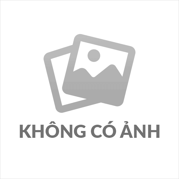 Trường Tiểu học Hòa Phong tổ chức thành công “Ngày Sách và Văn hóa đọc Việt Nam lần thứ 3 năm 2024".